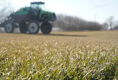 USAID АГРО поділилася деталями про підсумки посівної 2023 року