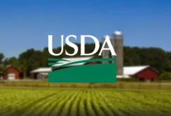 Ситуація на світовому ринку добрив критична, — USDA