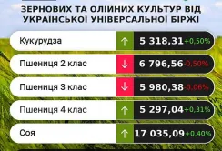Аналітики прогнозують незначне укріплення цін на зернові та олійні