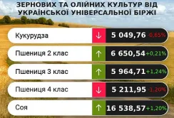 Цінові індикативи на зерно за 22-28 січня