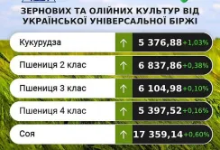 Ціни на зернові та олійні минулого тижня переважно зростали, – аналітики