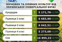 Ринок сільгосппродукції: минулого тижня ціни дещо підвищились