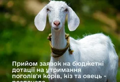 В ДАР приймають заявки на спеціальні бюджетні дотації