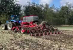 В ПАЕК вирішили посіяти ще декілька тисяч гектарів озимого ріпаку