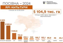 В Україні засіяли 90% запланованих площ