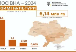 В Україні засіяли 98% озимих культур
