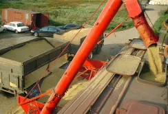 "Укрзалізниця" не зацікавлена в оновленні парку зерновозів