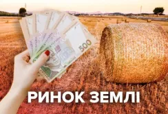 В Мінагрополітики підрахували середню вартість 1 га землі