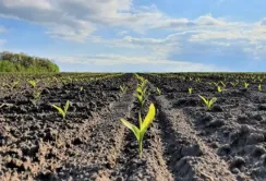 Вартість землі зросте після старту другого етапу земельної реформи, – Мінагрополітики