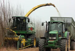 "Салікс Енерджі" планує виробляти зі щепи верби МДФ та ДСП панелі