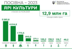 В Україні засіяли майже 13 млн гектарів