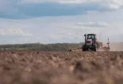 На Житомирщині посіяли майже половину запланованих ярих зернових та зернобобових