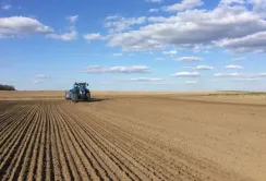 В Україні засіяли соняшником майже 4 млн гектарів