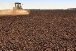 В Україні стартувала весняна посівна: які культури сіють аграрії