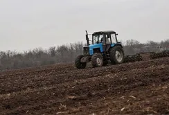 Весняна посівна-2025: засіяно понад 550 тис. га