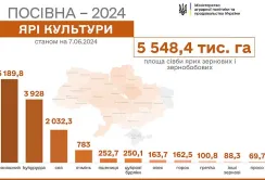 Весняну посівну завершено: засіяли майже 13 млн га