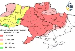 Липнева спека: в деяких регіонах від посухи загинув соняшник