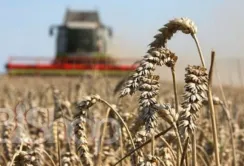 Україна запозичить у Японії досвід відновлення аграрного сектору
