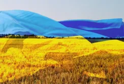 Без зовнішньої підтримки на відновлення сільського господарства знадобиться до 20 років, – аналітики