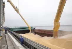 За минулий тиждень відвантаження агропродукції зерновим коридором збільшилось на 38%