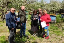 На Вінниччині сталось незвичайне отруєння бджіл