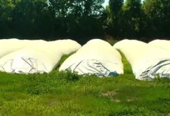 Сільгосппідприємства Вінниччини вже завантажують зерно в рукави від USAID
