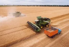 Аграрії Вінниччини намолотили на 38% більше зерна, ніж минулого року