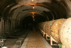 Угорці планують інвестувати $ 5 млн у винарні Закарпаття