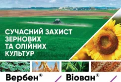 Corteva Agriscience представляє українським фермерам два нових фунгіциди