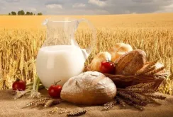 Виробництво агропродукції на Чернігівщині скоротилось на чверть