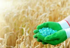 Мінеральні добрива в Україні: як розвивалось виробництво