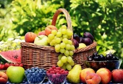 Україна випередила Іспанію у рейтингу виробників плодоовочевої продукції