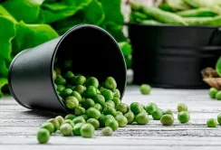 Вирощування, переробка та експорт гороху буде збільшуватись, – Антоніна Скляренко