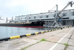 Саботаж росією зернового коридору призвів до значного зниження вивантаження зерна в одеських портах
