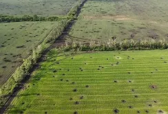 Через війну з обігу виведено близько чверті всіх аграрних земель України