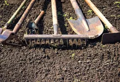 Зараз головне виживання агросектору та допомога армії, а не земельна реформа, – Денис Марчук