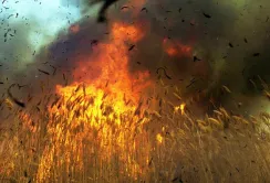 Вогнеборці попереджають аграрїів про можливість пожеж та підпалів