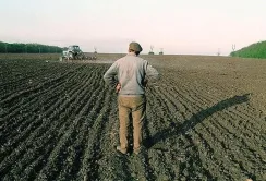 На Волині обговорили роботу агропідприємств в умовах воєнного стану