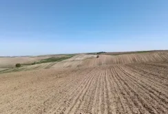 Волинські фермери підлаштувались під водопілля змінивши структуру посівної