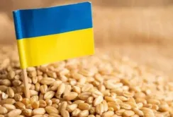 Аграрії закликали уряд врегулювати експорт агропродукції