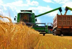 Мінагрополітики планує зібрати на 5% більше зернових та олійних, ніж торік