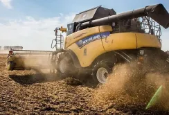 Рекордна врожайність та труднощі експорту: аграрії відновлюються після війни