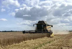 Врожайність озимих культур Agricom Group вище середньої по Україні