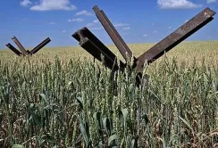 Втрати ринку землі від повномасштабного вторгнення росії сягають $325 млн, – аналітики