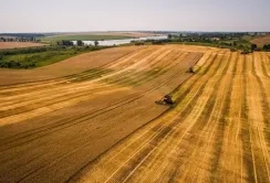 Рахунок втрат врожаю на тимчасово окупованих територіях йде на мільйони тонн