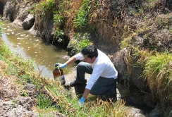 Чим поливають більшість полів у країнах, яким бракує води?
