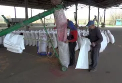 Фермери Миколаївщини отримали від ФАО по 2 тонни насіння ярого ячменю