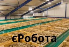 В НБУ створили спеціальний рахунок для фінансування програми єРобота