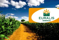 «Євраліс Україна» планує почати експорт насіння в 2018 році