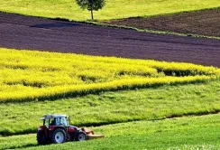 Ринок землі зламає сировинну модель економіки і стимулюватиме переробку